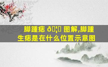 脚踵痣 🦋 图解,脚踵生痣是在什么位置示意图